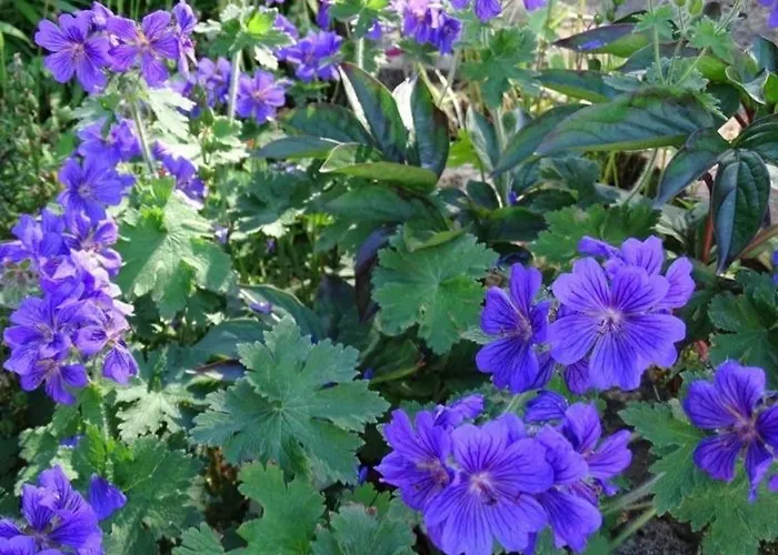 Vallum House 3* Carlisle (Cumbria)